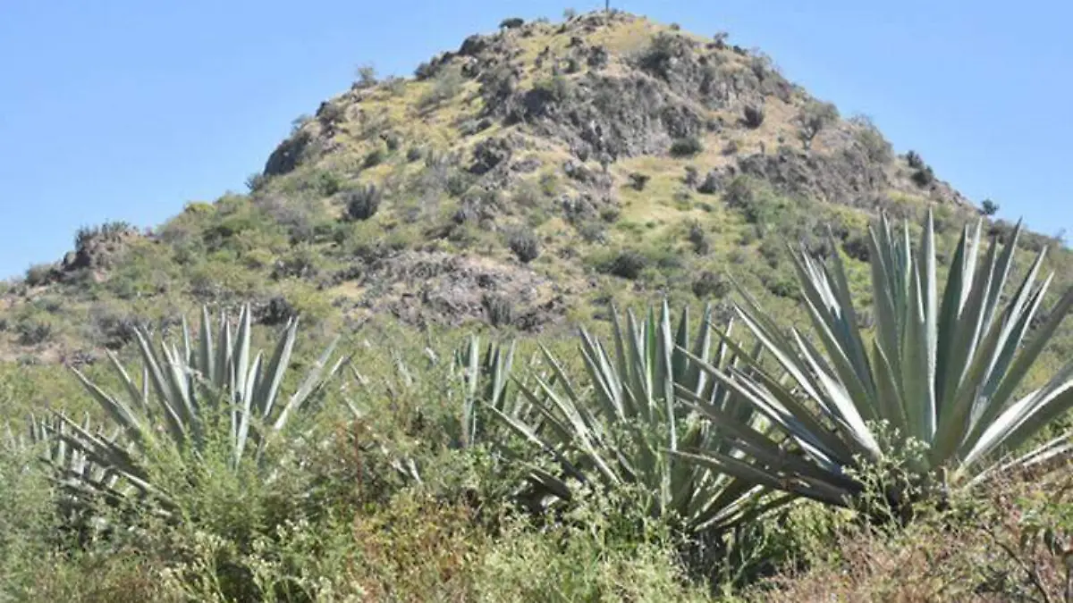 Cerro-del-Piloncillo-en-Irapuato (3)